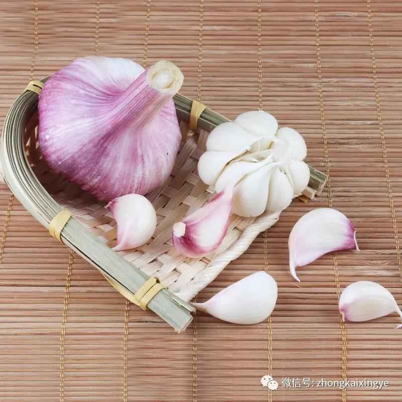 微信圖片_20180529092142.jpg 微信圖片_20180529092142.jpg