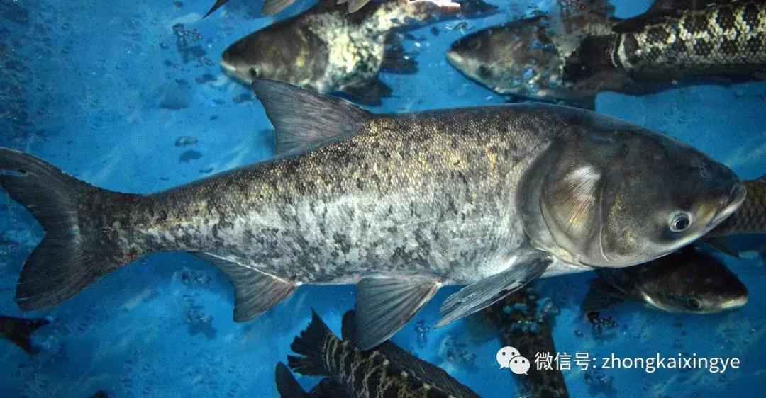 微信圖片_20180615172834.jpg 微信圖片_20180615172834.jpg