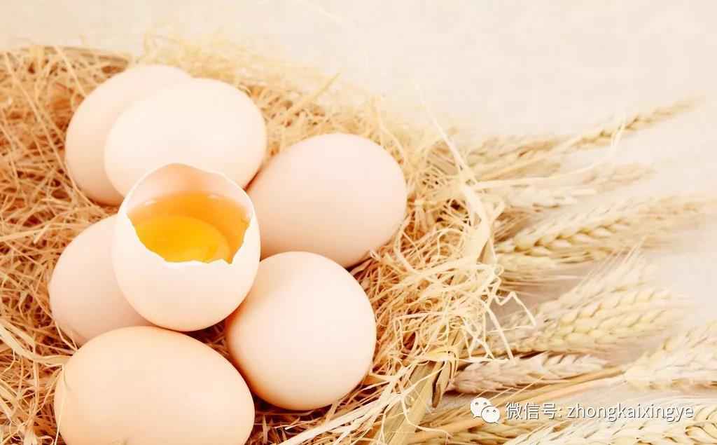 微信圖片_20180622170747.jpg 微信圖片_20180622170747.jpg