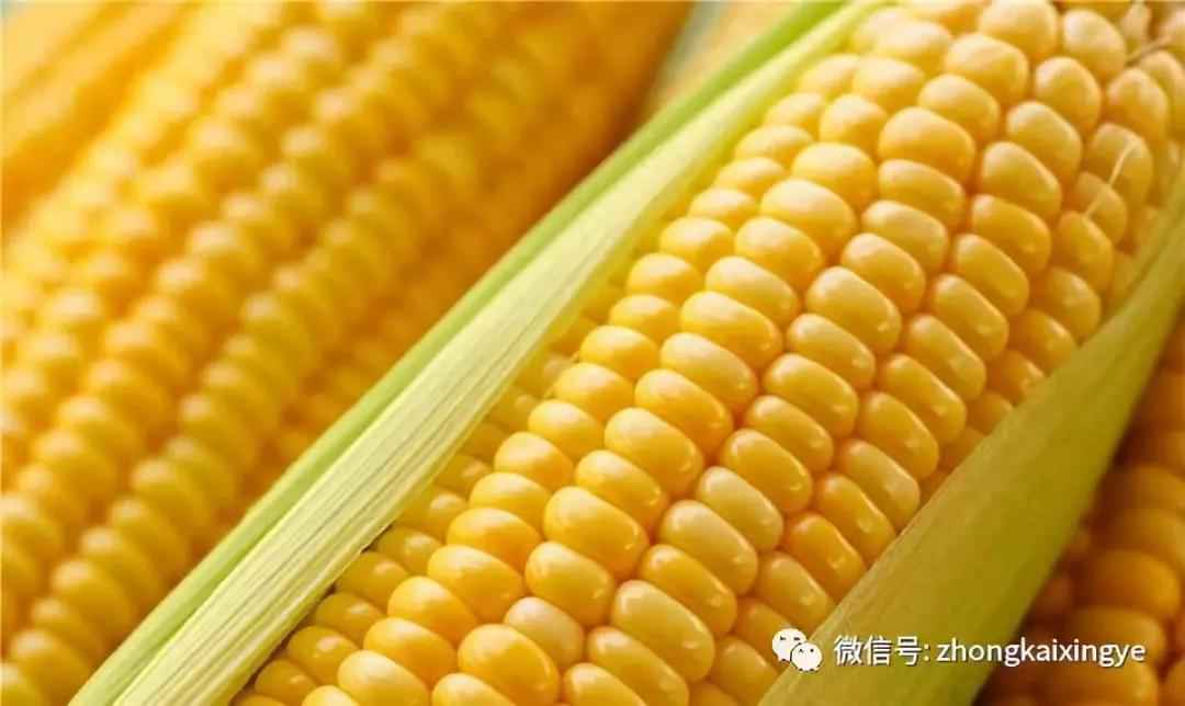 微信圖片_20180622171232.jpg 微信圖片_20180622171232.jpg