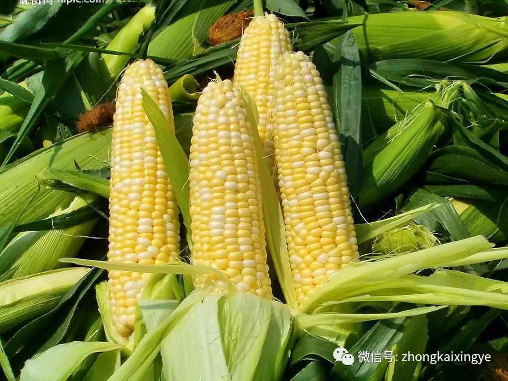 微信圖片_20180622171148.jpg 微信圖片_20180622171148.jpg