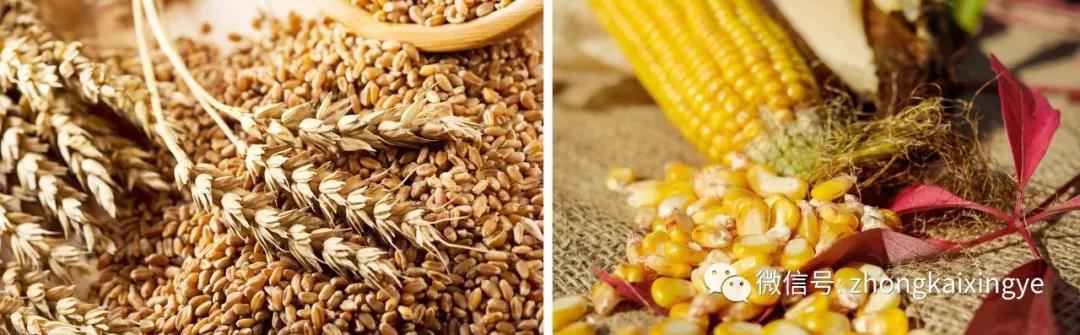 微信圖片_20180622171242.jpg 微信圖片_20180622171242.jpg