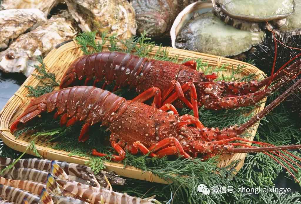 微信圖片_20180622171514.jpg 微信圖片_20180622171514.jpg