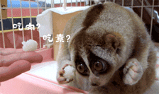 640qqq.gif 640qqq.gif