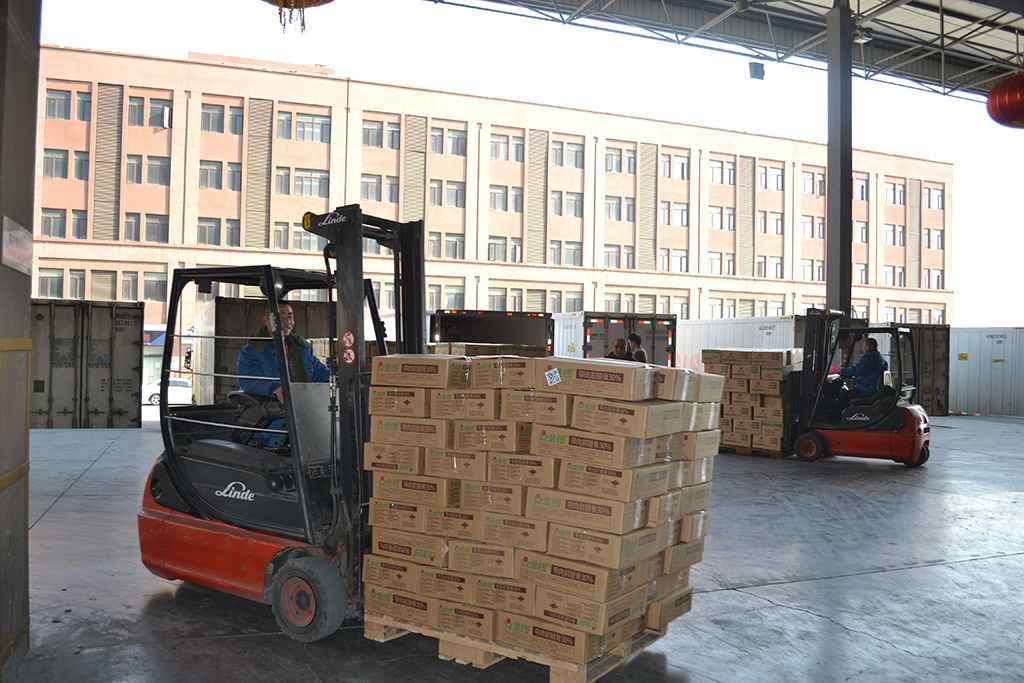 DSC_0091.jpg DSC_0091.jpg