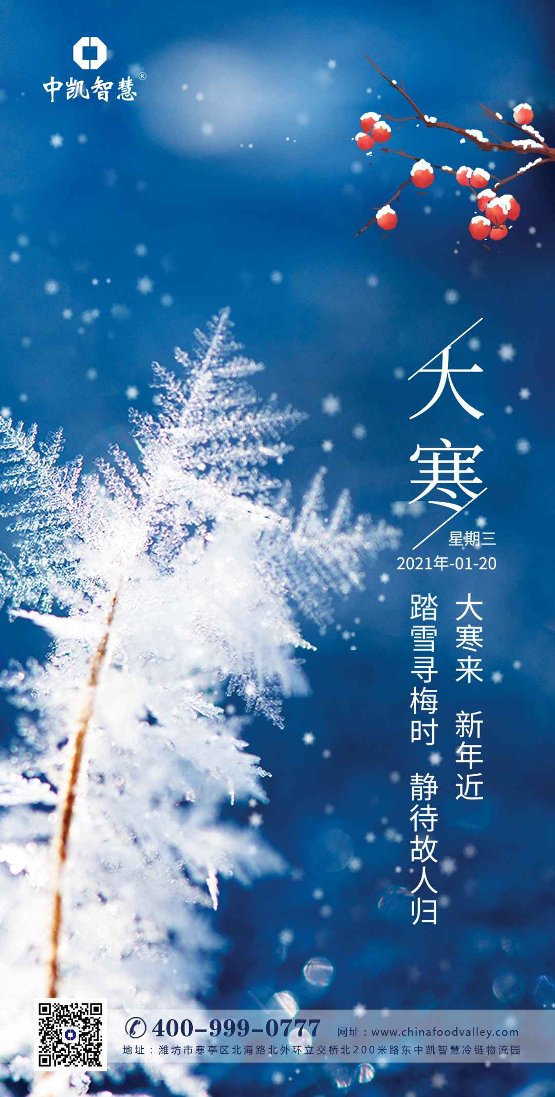 2021.1.20大寒.jpg 2021.1.20大寒.jpg